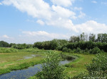 Mokkelengoor